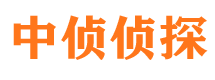 革吉市婚外情调查